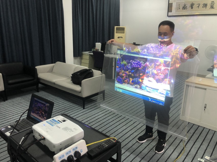 Film per schermo di proiezione a doppio lato