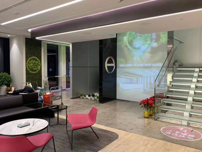 Film di proiezione frontale bianca per interior design per ufficio
